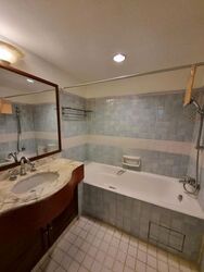 Cavenagh Lodge (D9), Apartment #620373431